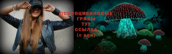 дмт Верея