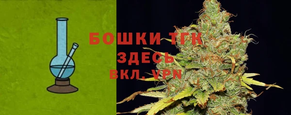 дмт Верея