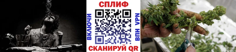 как найти   Шимановск  Шишки марихуана индика 